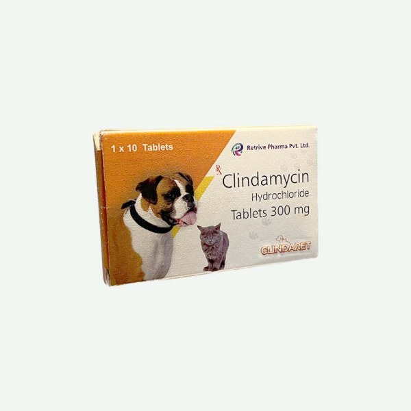 Clindaret Antibiotics